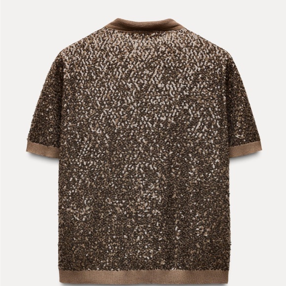 NWT Zara Brown Sequin Knit Top - Picture 2 of 5